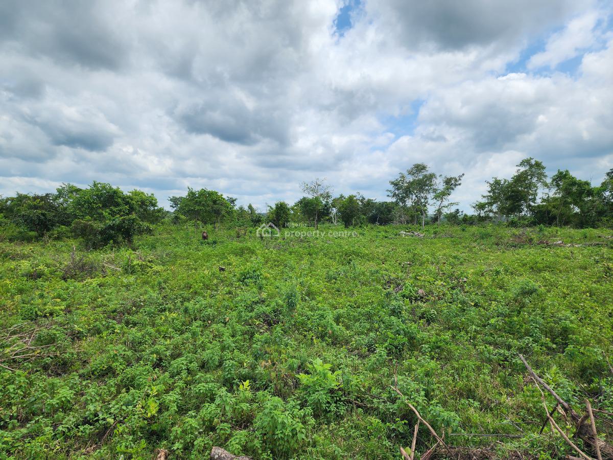 Land, Off Funaab, Alabata Road, Odeda, Ogun, Mixed-use Land for Sale