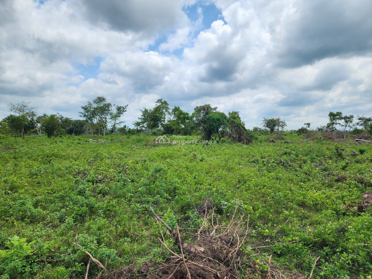 Land, Off Funaab, Alabata Road, Odeda, Ogun, Mixed-use Land for Sale
