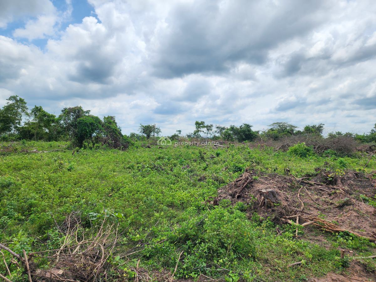 Land, Off Funaab, Alabata Road, Odeda, Ogun, Mixed-use Land for Sale