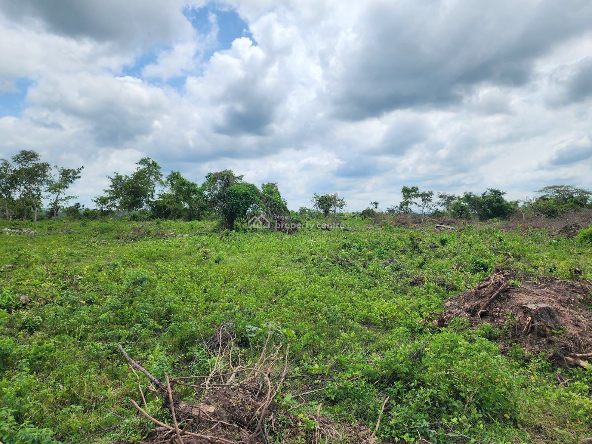 Land, Off Funaab, Alabata Road, Odeda, Ogun, Mixed-use Land for Sale
