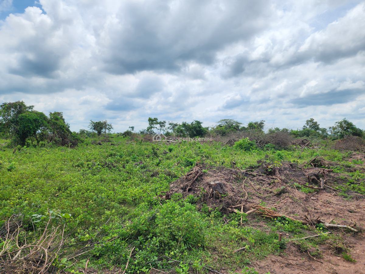 Your Money Deserves to Grow on Fertile Soil, Off Funaab, Alabata Road, Odeda, Ogun, Mixed-use Land for Sale