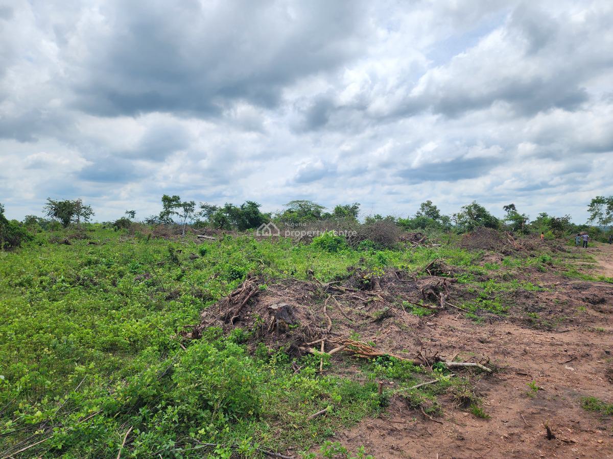 Your Money Deserves to Grow on Fertile Soil, Off Funaab, Alabata Road, Odeda, Ogun, Mixed-use Land for Sale