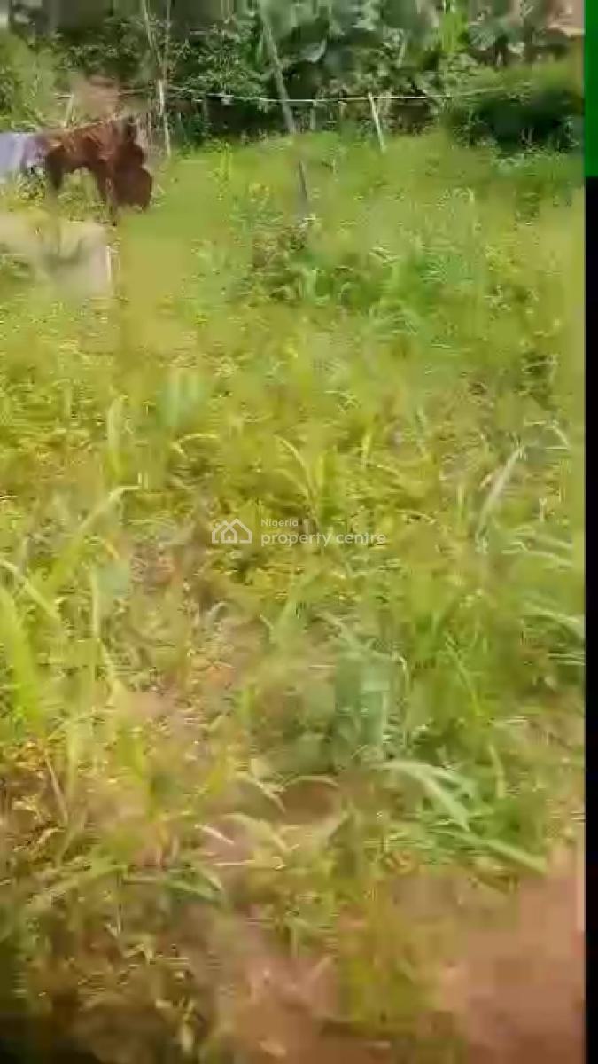 2 Vacant Plot Together, Lagos - Abeokuta Express Way, Ijaiye, Lagos, Mixed-use Land for Sale