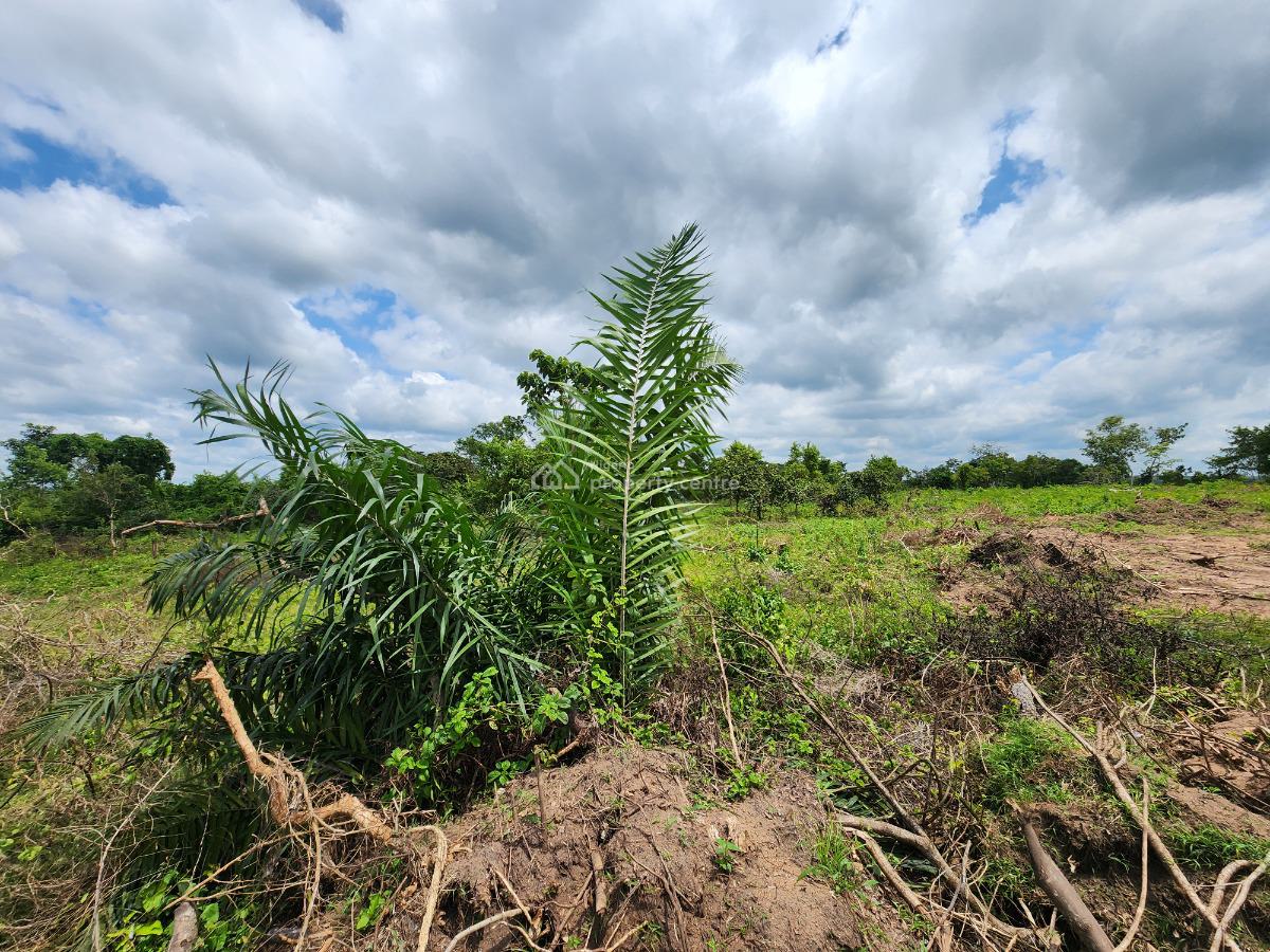 Let Your Money Breathe Where The Soil Is Rich, Off Funaab, Alabata Road, Odeda, Ogun, Mixed-use Land for Sale