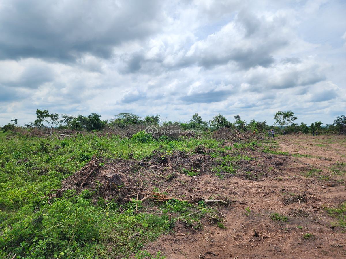 Dont Wait Till This Farmland Doubles in Price, Off Funaab, Alabata Road, Odeda, Ogun, Mixed-use Land for Sale