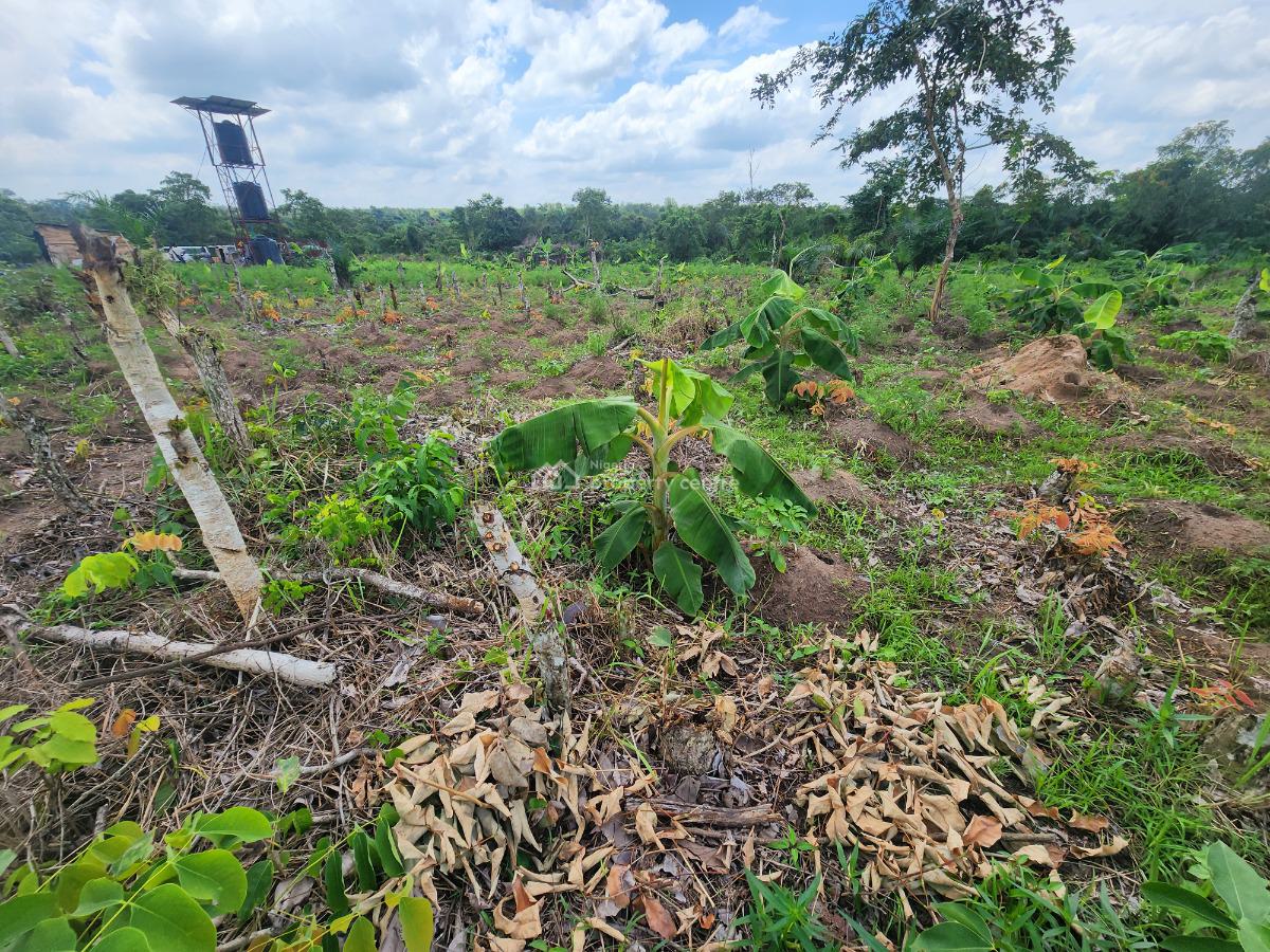 Farmland Investment That Pays You Over Time, Off Funaab, Alabata Road, Odeda, Ogun, Mixed-use Land for Sale