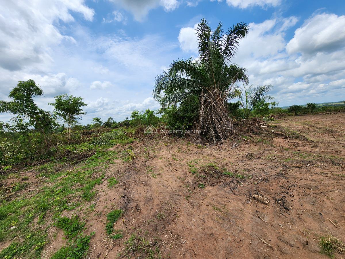 Acres of Farmland with a Promo Offer Suitable for Cocoa Plantation, Off Funaab, Alabata Road, Odeda, Ogun, Mixed-use Land for Sale