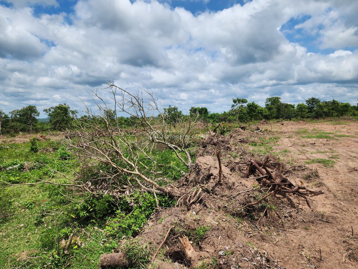 a Farmland Investment Designed for Long-term Prosperity, Off Funaab, Alabata Road, Odeda, Ogun, Mixed-use Land for Sale