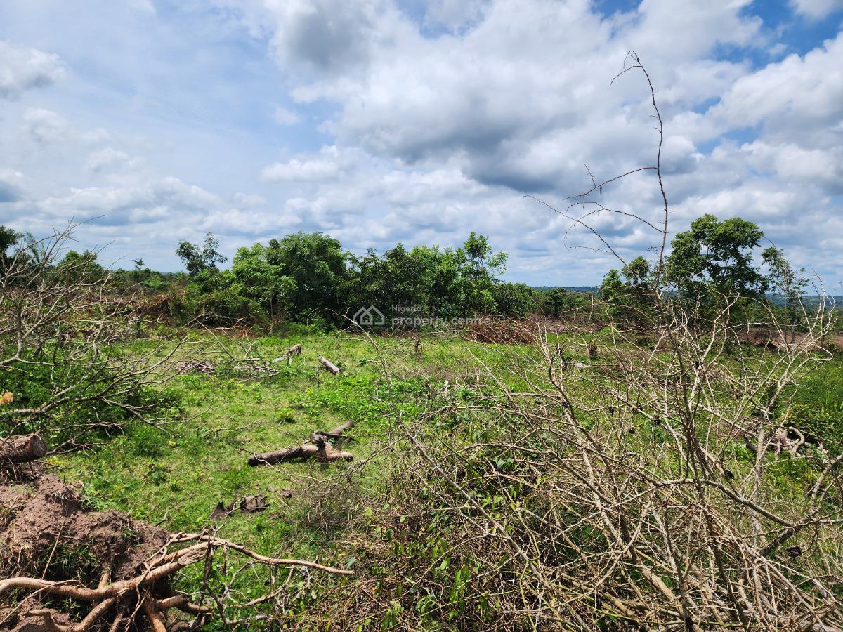 Secure The Future with Farmland That Keeps Producing Income, Off Funaab, Alabata Road, Odeda, Ogun, Mixed-use Land for Sale