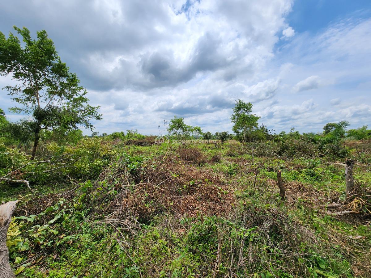 Own 100% Fertile Farmland, Ideal for Cocoa Farming, Off Funaab, Alabata Road, Odeda, Ogun, Mixed-use Land for Sale
