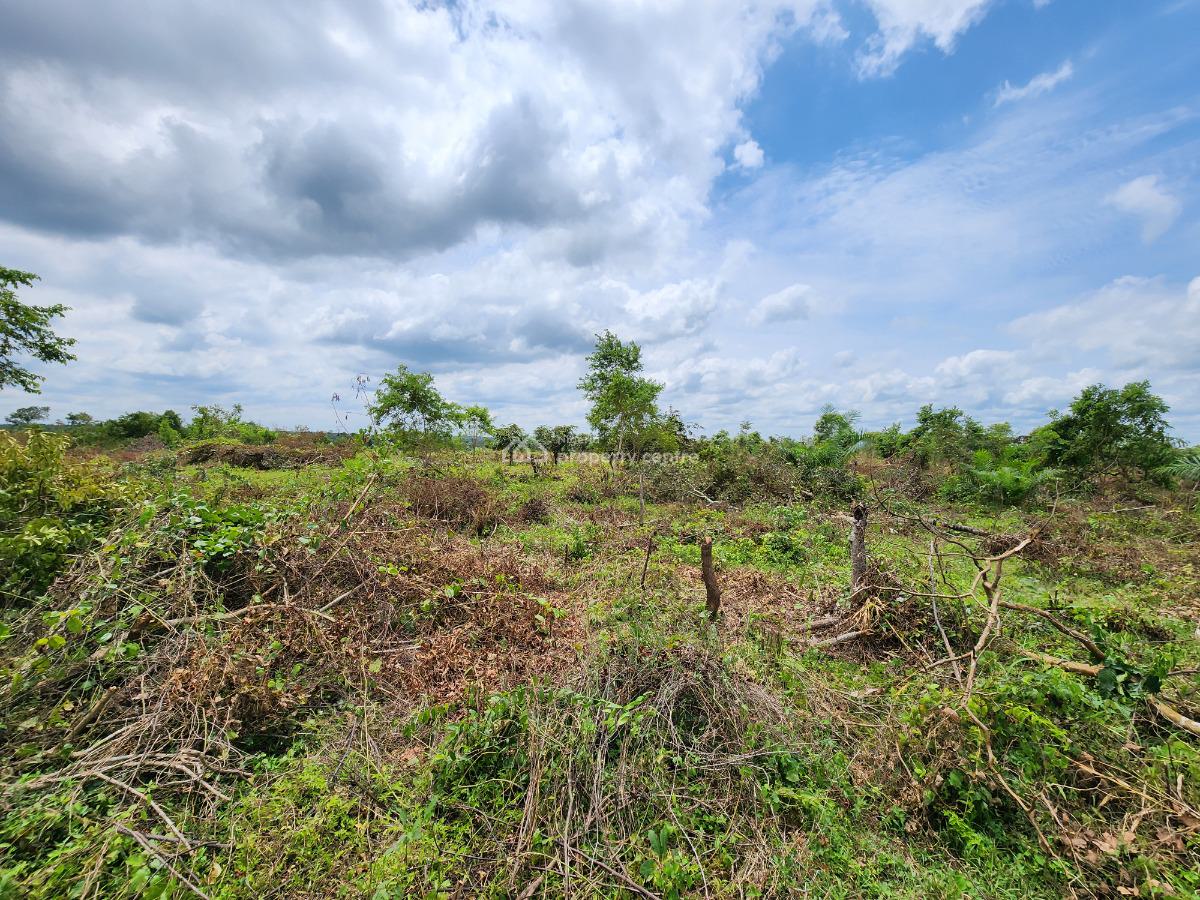 Own Productive Farmland Suitable for Cashew Farming, Off Funaab, Alabata Road, Odeda, Ogun, Mixed-use Land for Sale