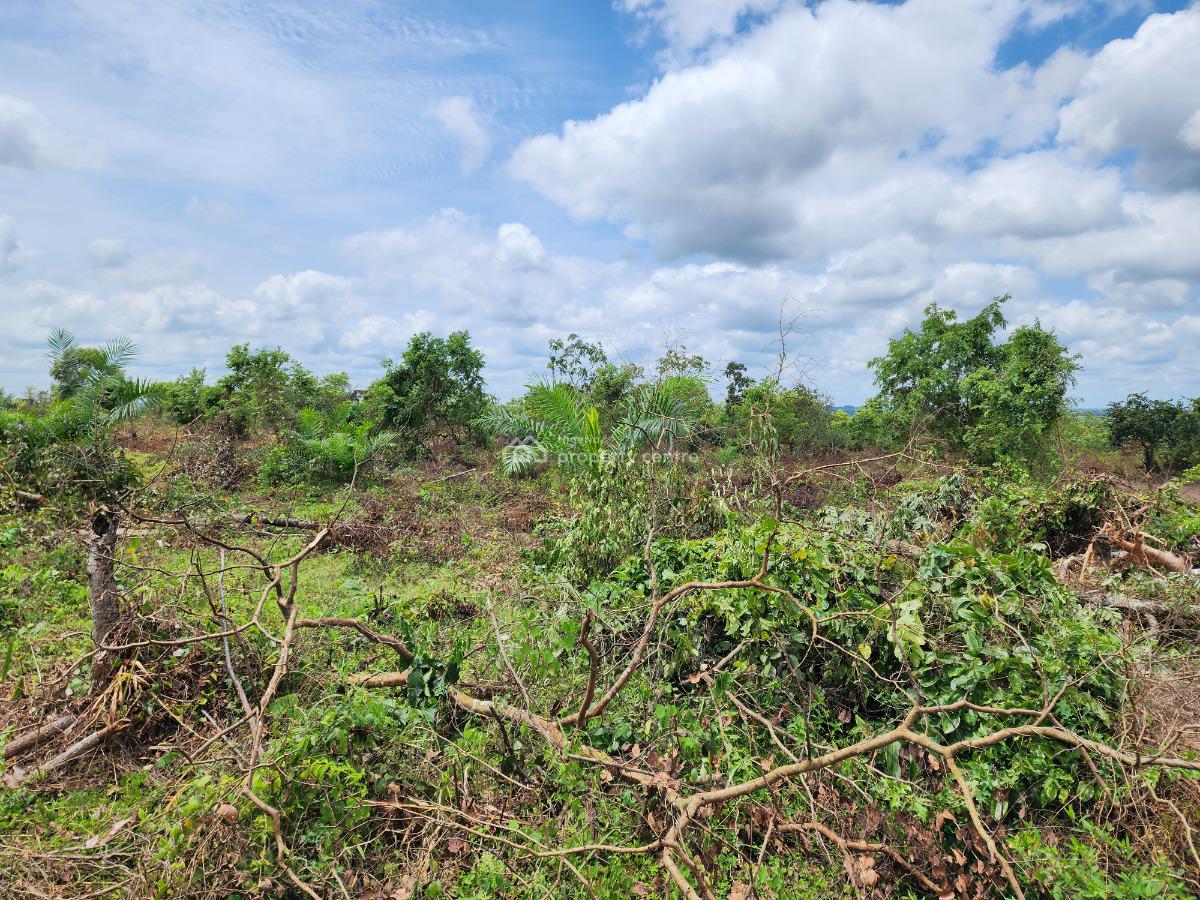 Own Productive Farmland Suitable for Cashew Farming, Off Funaab, Alabata Road, Odeda, Ogun, Mixed-use Land for Sale