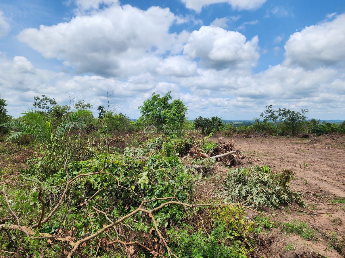 Own Productive Farmland Suitable for Cashew Farming, Off Funaab, Alabata Road, Odeda, Ogun, Mixed-use Land for Sale