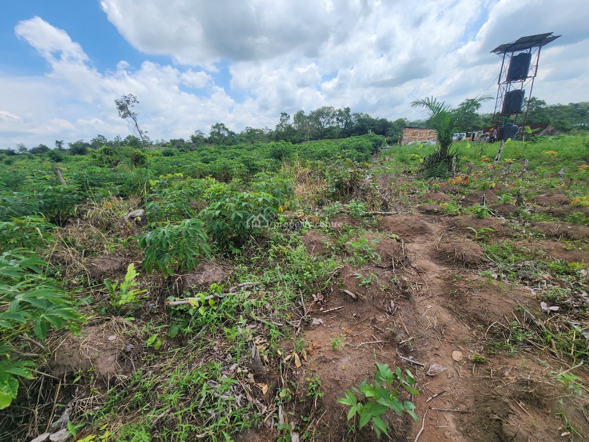Get Your Own Farmland and Start Cultivating Cassava, Off Funaab, Alabata Road, Odeda, Ogun, Mixed-use Land for Sale
