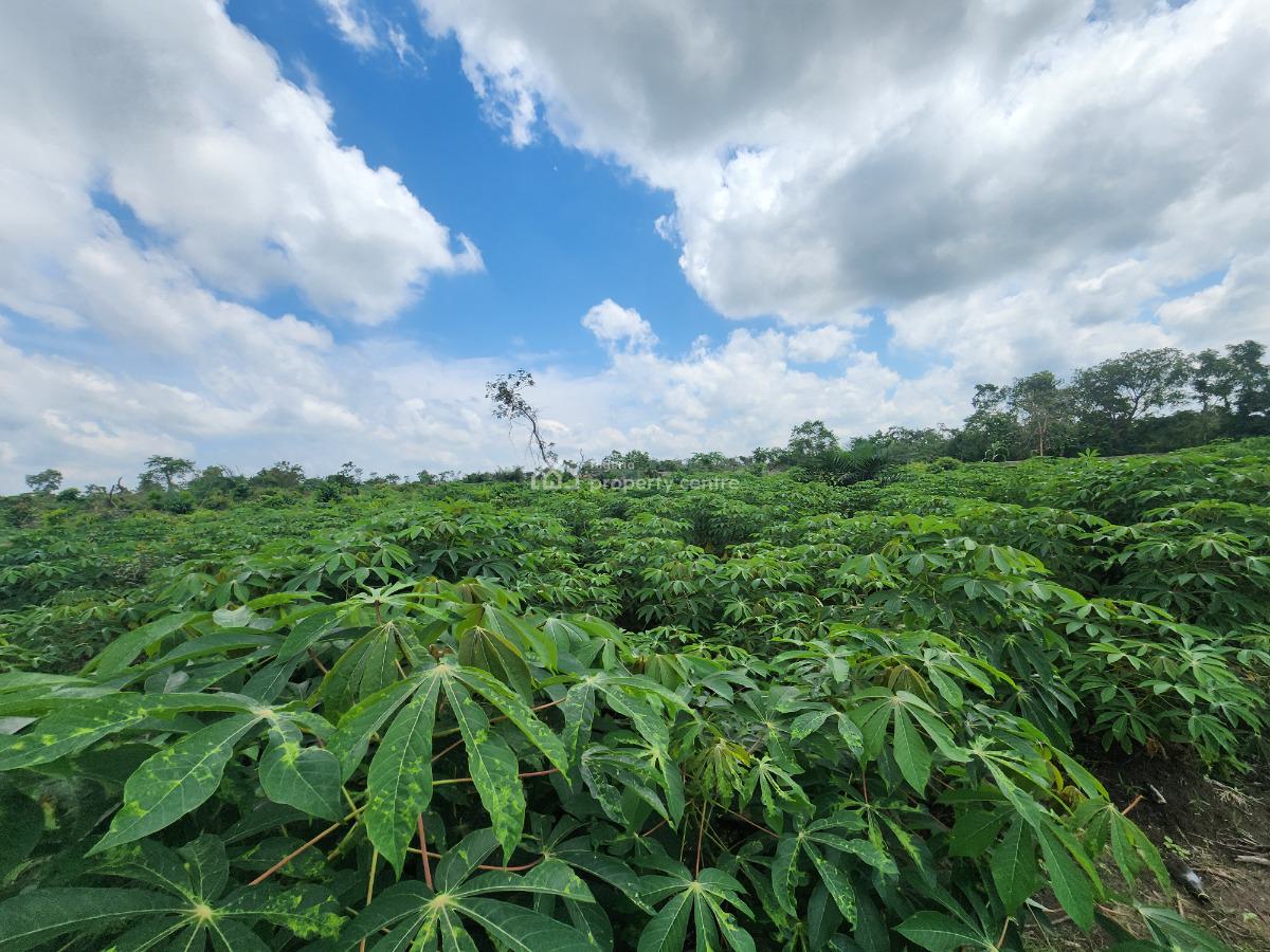 Get Your Own Farmland and Start Cultivating Cassava, Off Funaab, Alabata Road, Odeda, Ogun, Mixed-use Land for Sale