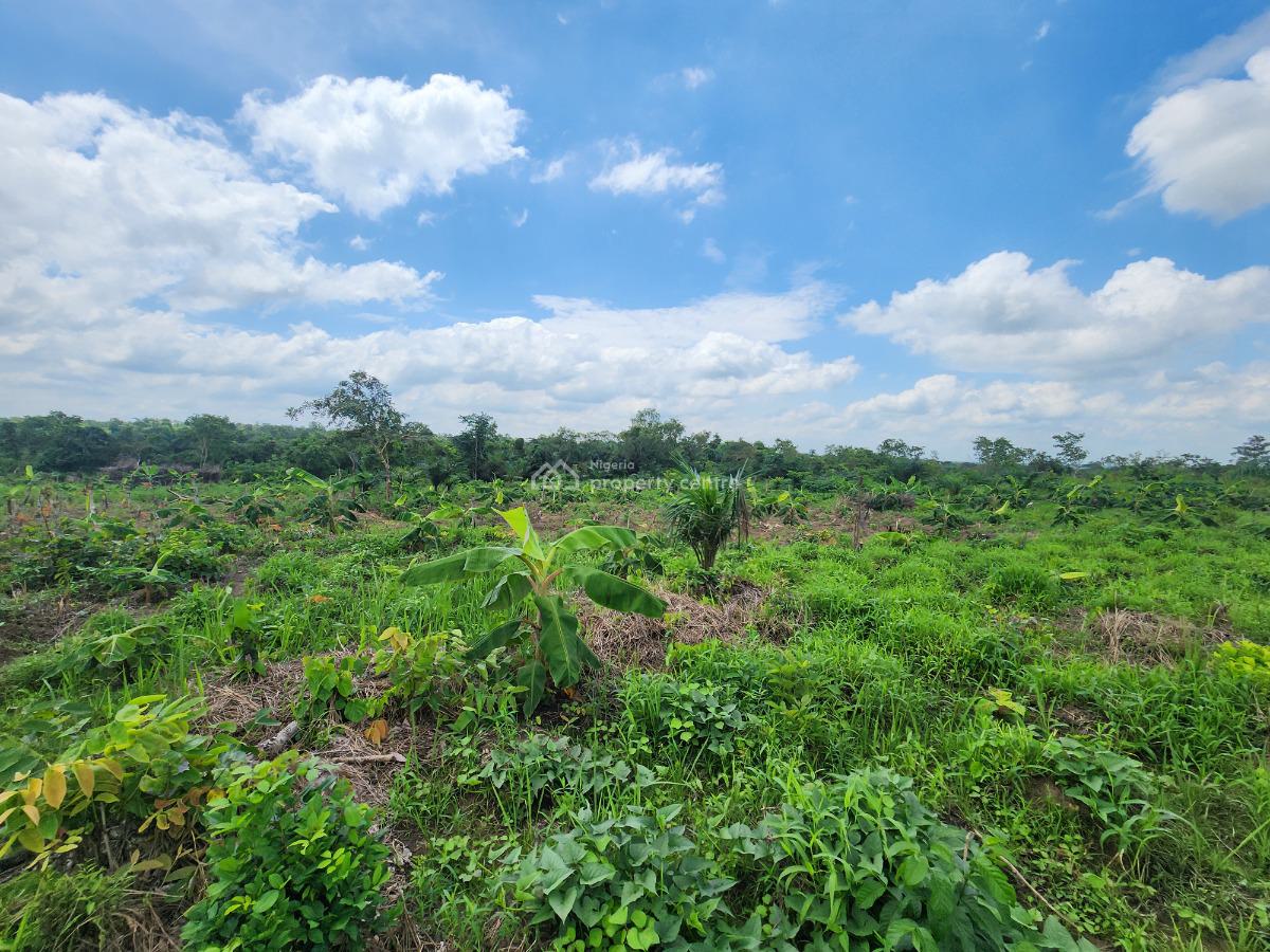 Earn Money From Farming Without Ever Touching The Soil in This Estate, Off Funaab, Alabata Road, Odeda, Ogun, Mixed-use Land for Sale