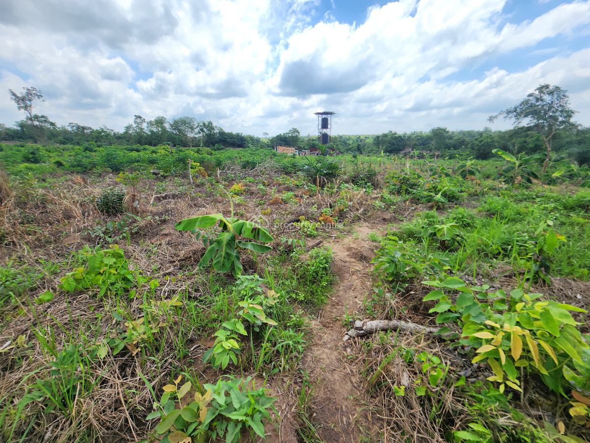 Earn Money From Farming Without Ever Touching The Soil in This Estate, Off Funaab, Alabata Road, Odeda, Ogun, Mixed-use Land for Sale