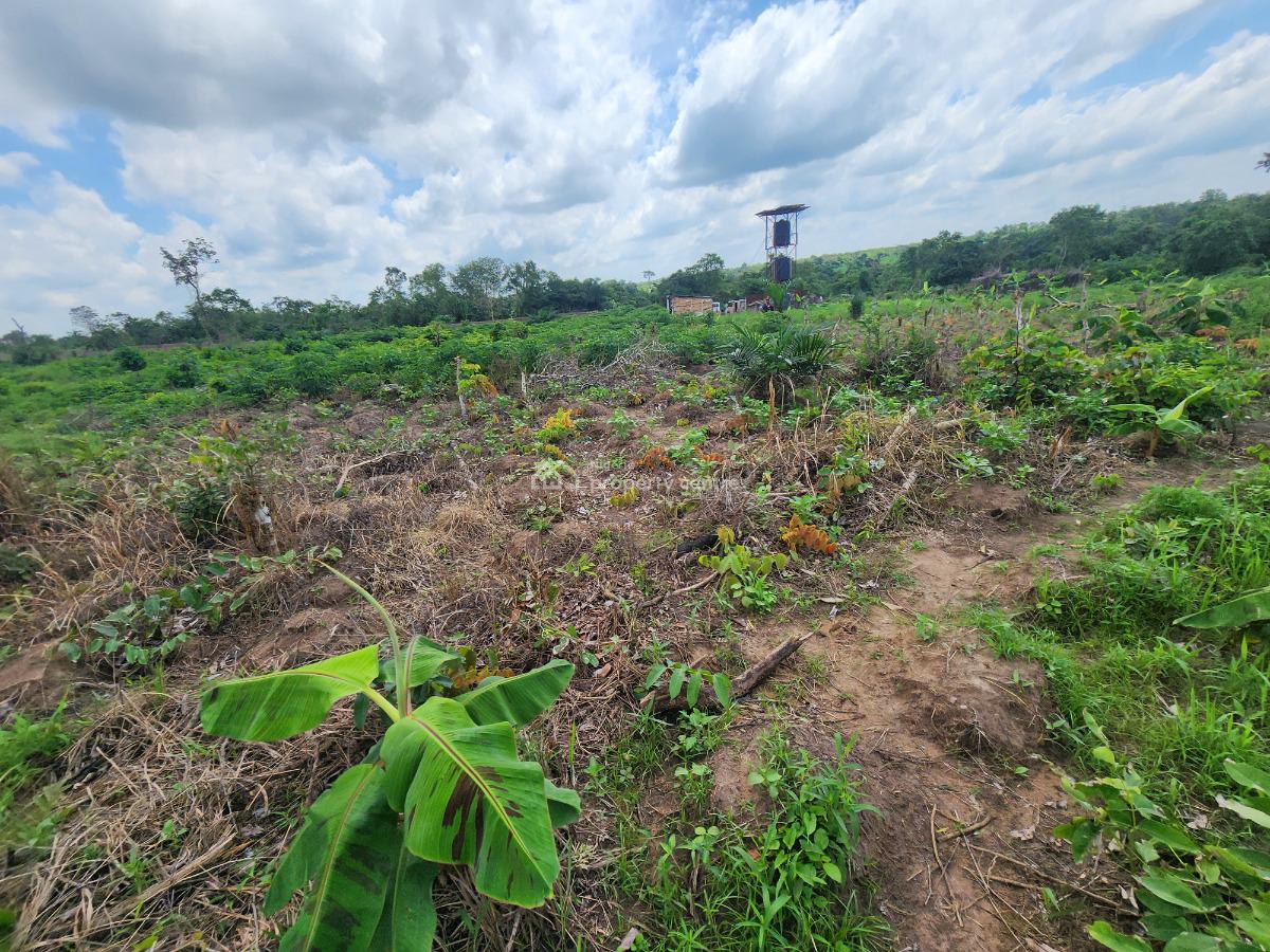 Earn Money From Farming Without Ever Touching The Soil in This Estate, Off Funaab, Alabata Road, Odeda, Ogun, Mixed-use Land for Sale