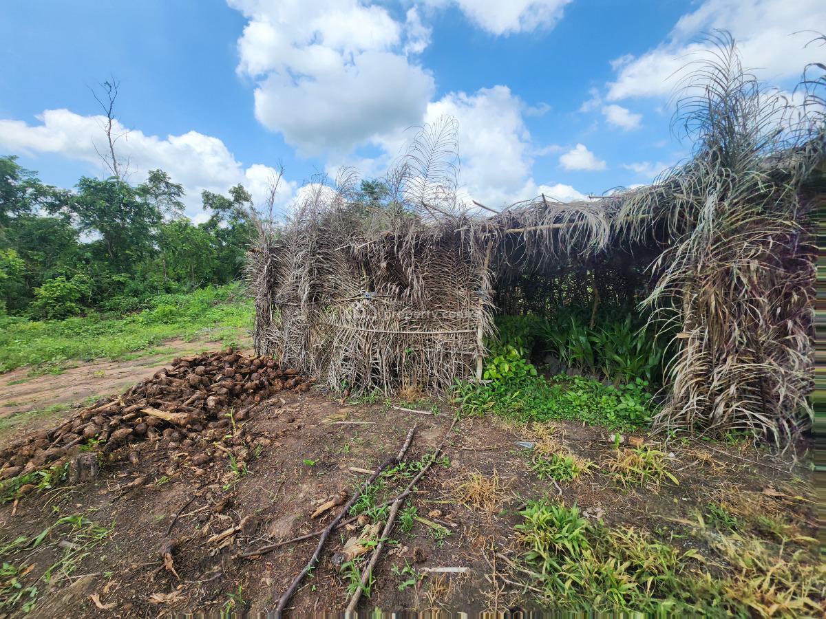 Own Hectares of 100% Fertile Land Suitable for Farming, Off Funaab, Alabata Road, Odeda, Ogun, Mixed-use Land for Sale