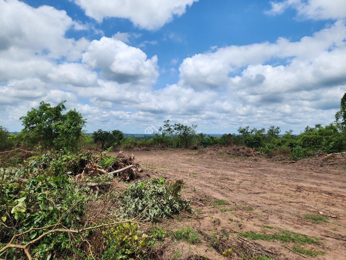 Own Hectares of Productive Farmland Suitable for Oil Palm Farming, Off Funaab, Alabata Road, Odeda, Ogun, Mixed-use Land for Sale