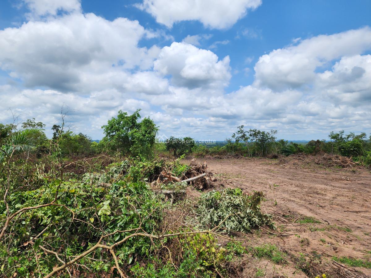Own Hectares of Productive Farmland Suitable for Oil Palm Farming, Off Funaab, Alabata Road, Odeda, Ogun, Mixed-use Land for Sale