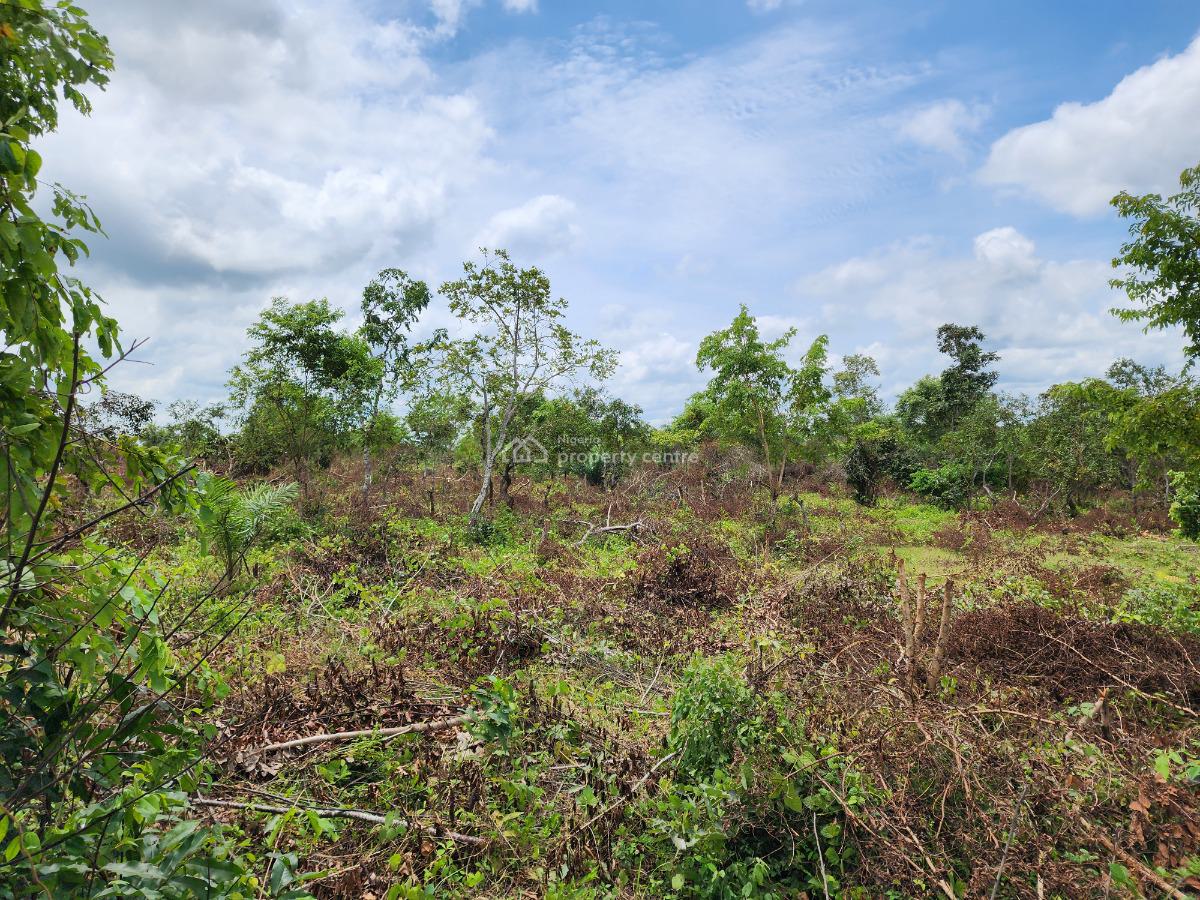 Own 100% Fertile Farmland, Ideal for Cocoa Farming, Off Funaab, Alabata Road, Odeda, Ogun, Mixed-use Land for Sale