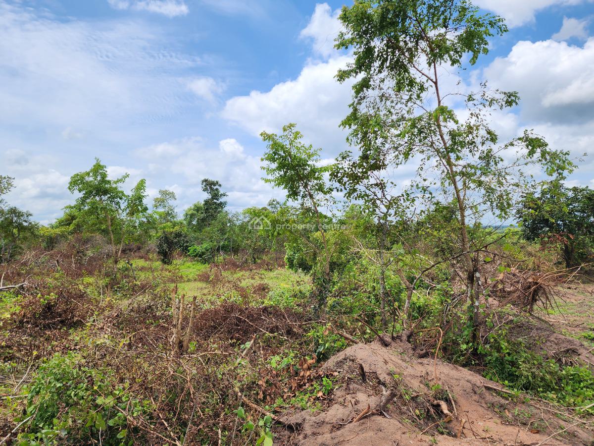 Own 100% Fertile Farmland, Ideal for Cocoa Farming, Off Funaab, Alabata Road, Odeda, Ogun, Mixed-use Land for Sale