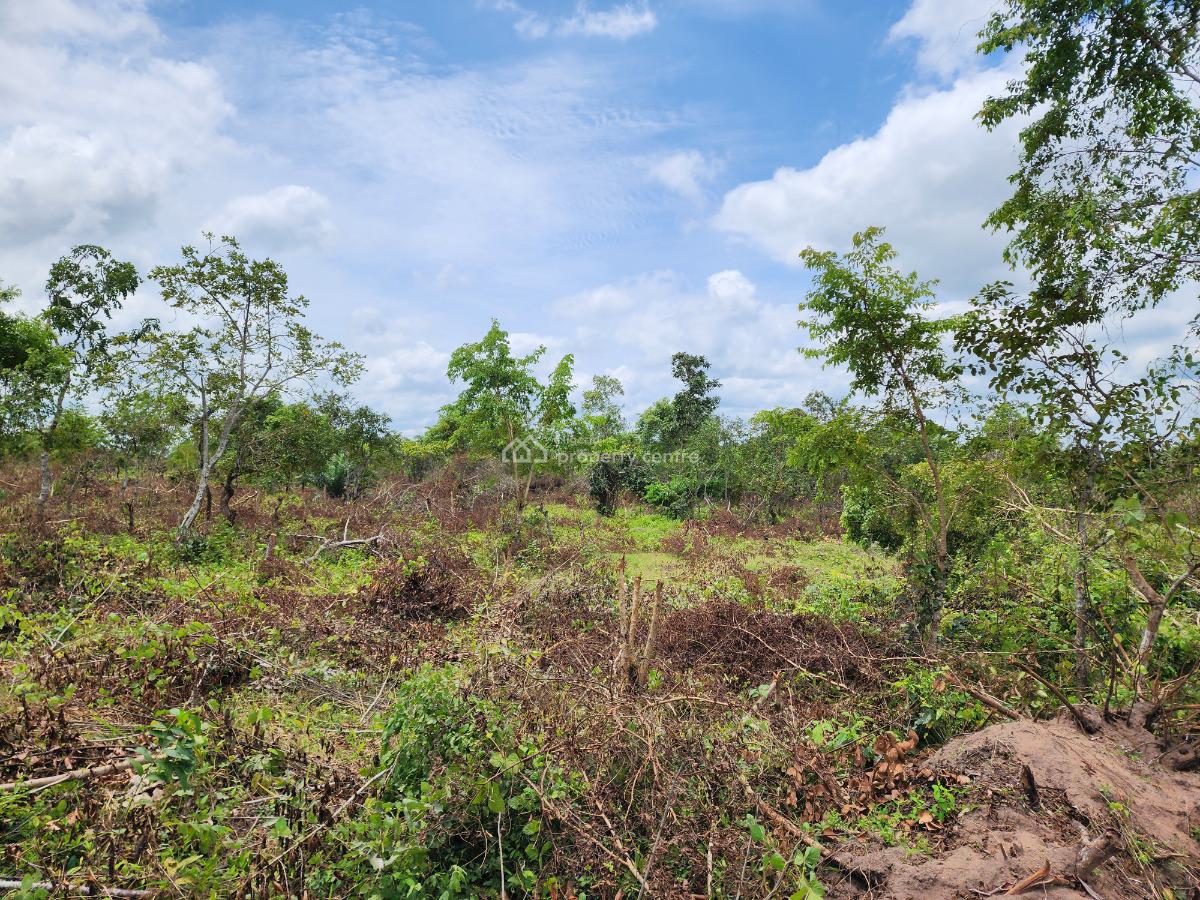 Own 100% Fertile Farmland, Ideal for Cocoa Farming, Off Funaab, Alabata Road, Odeda, Ogun, Mixed-use Land for Sale