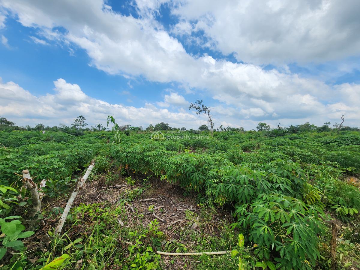 Own Acres of 100% Fertile Land Suitable for Cassava Farming, Off Funaab, Alabata Road, Odeda, Ogun, Mixed-use Land for Sale