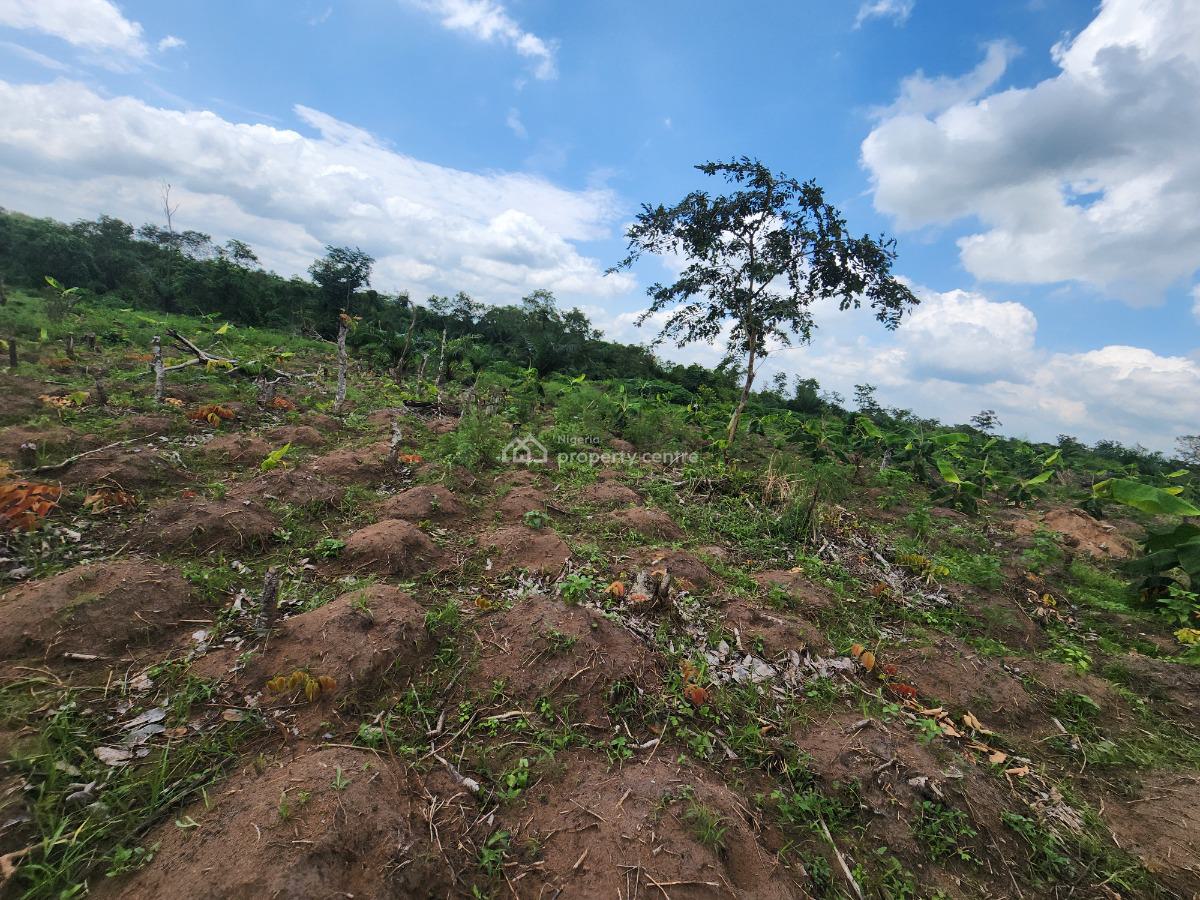 Make a Lot of Money From Agriculture By Owning Affordable Farmland, Off Funaab, Alabata Road, Odeda, Ogun, Mixed-use Land for Sale