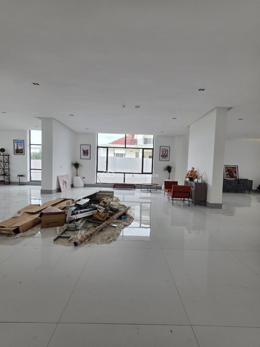 Massive 7 Bedroom Detached Duplex with Elevator + Cinema + Pool, Off Ty Danjuma Street, Asokoro District, Abuja, Detached Duplex for Sale