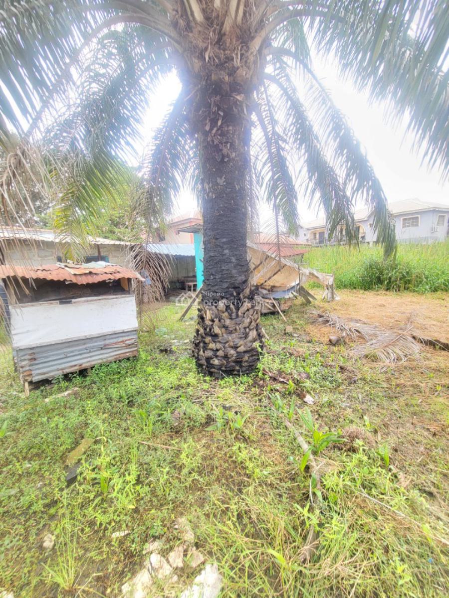 a Full Plot of Land, Langbasa, Ajah, Lagos, Land for Rent