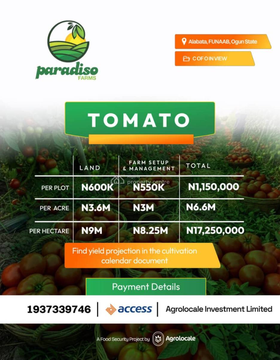 Invest in a Very Affordable Farm Land and Enjoy Annual Profit, Tejoun Kesi Village, Alabata – Funaab Axis, Abeokuta North, Ogun, Industrial Land for Sale