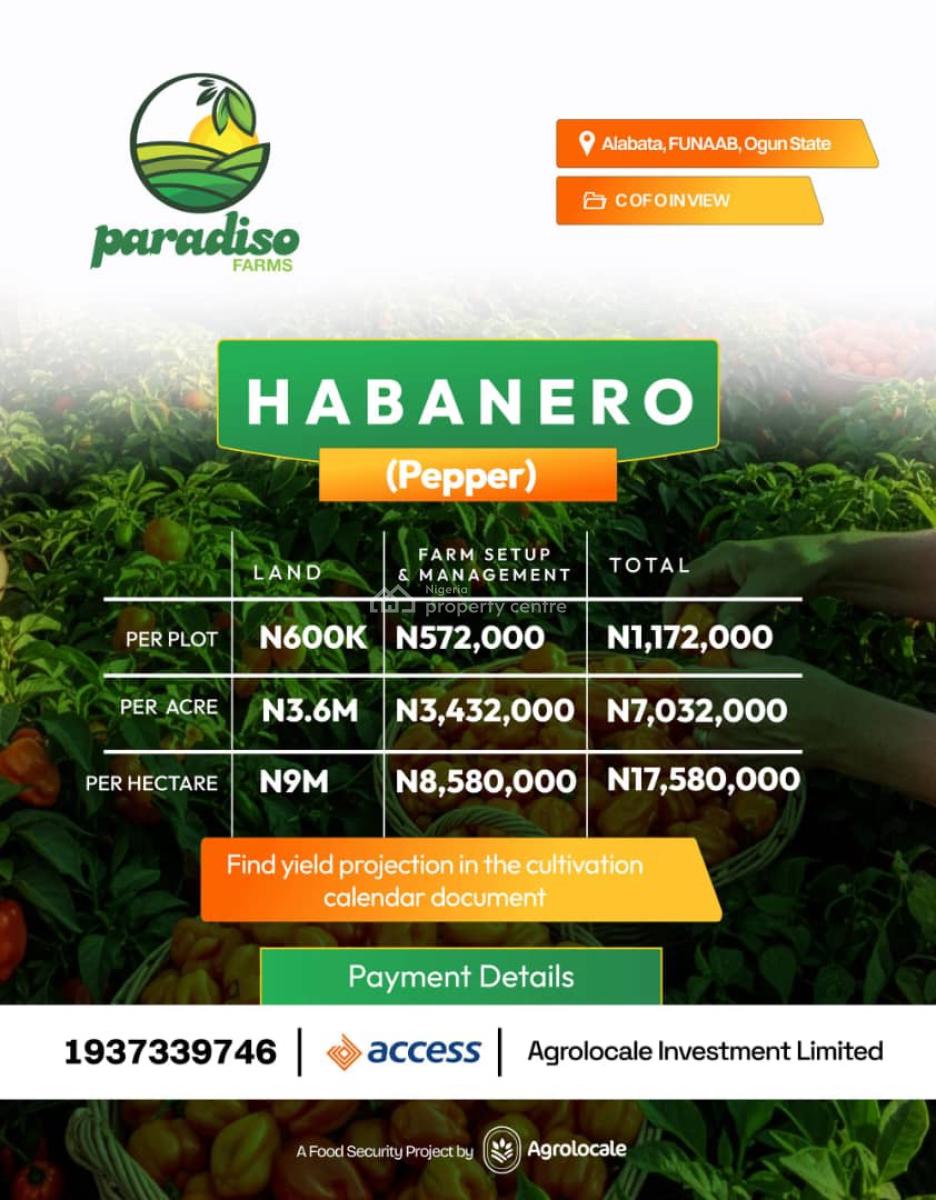 Invest in a Very Affordable Farm Land and Enjoy Annual Profit, Tejoun Kesi Village, Alabata – Funaab Axis, Abeokuta North, Ogun, Industrial Land for Sale