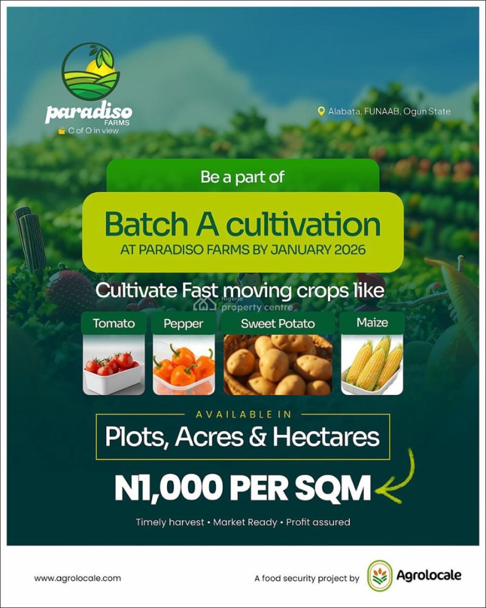 Invest in a Very Affordable Farm Land and Enjoy Annual Profit, Tejoun Kesi Village, Alabata – Funaab Axis, Abeokuta North, Ogun, Industrial Land for Sale