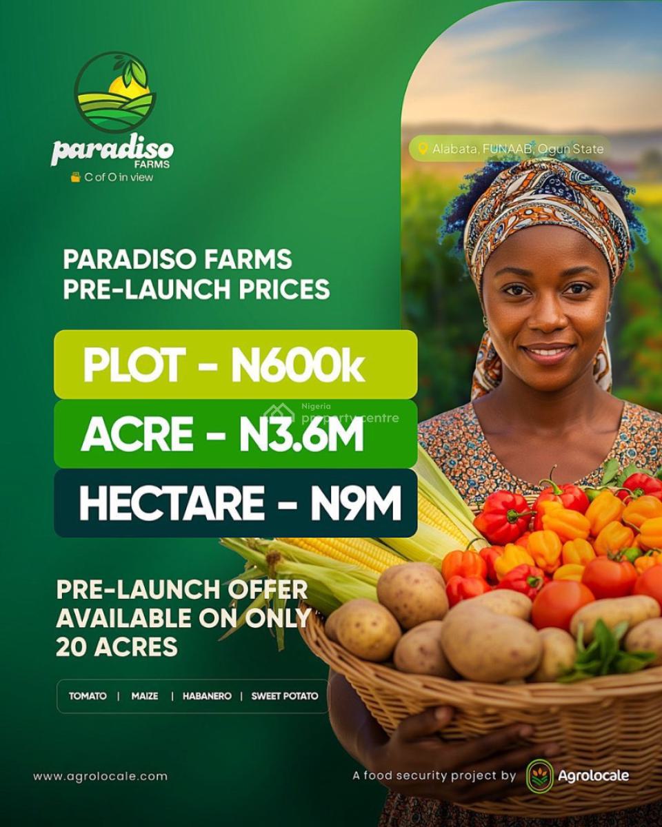 Invest in a Very Affordable Farm Land and Enjoy Annual Profit, Tejoun Kesi Village, Alabata – Funaab Axis, Abeokuta North, Ogun, Industrial Land for Sale