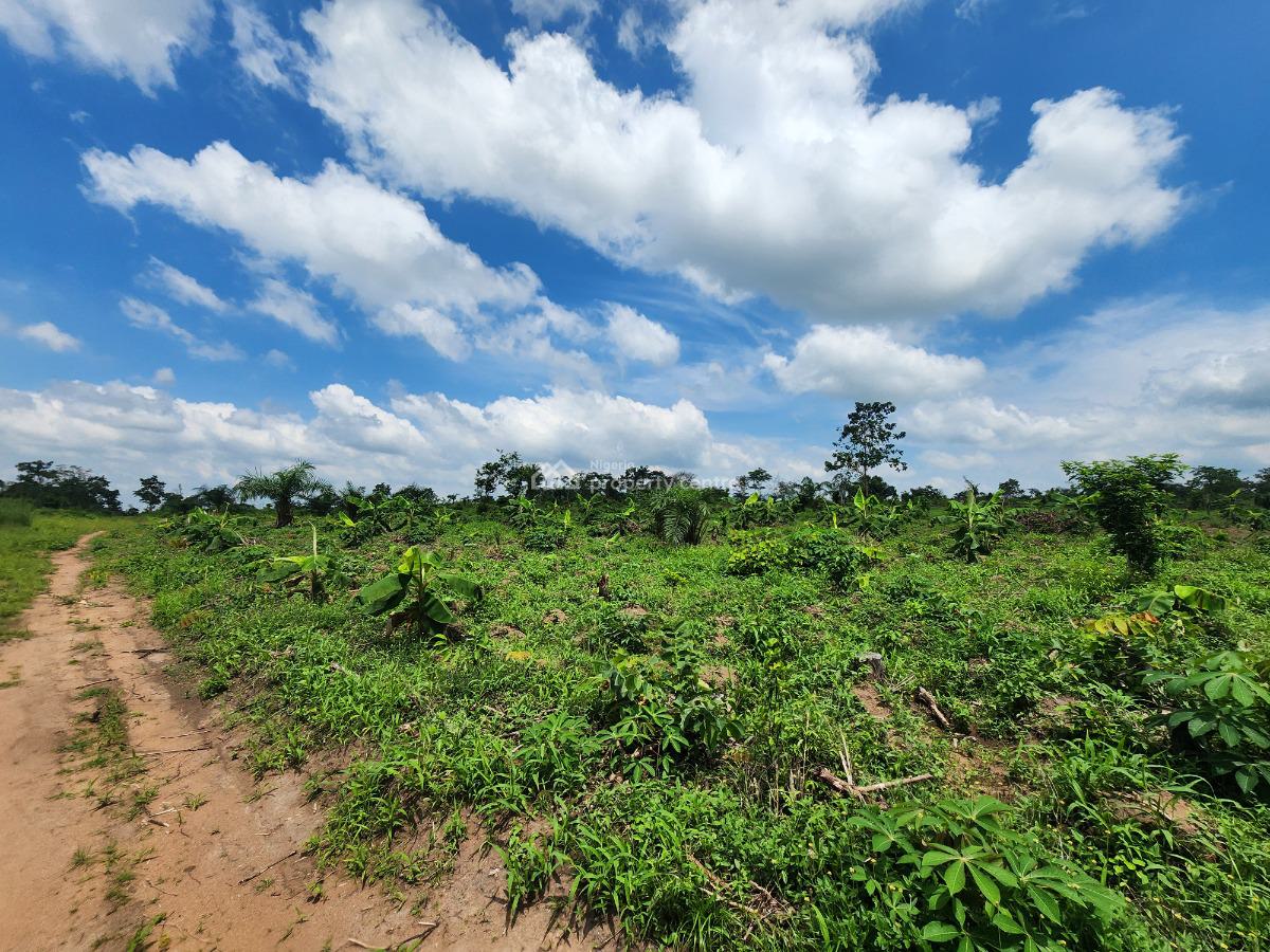 Get an Acre of Land for Farming with a Promo Offer, Off Funaab, Alabata Road, Odeda, Ogun, Mixed-use Land for Sale
