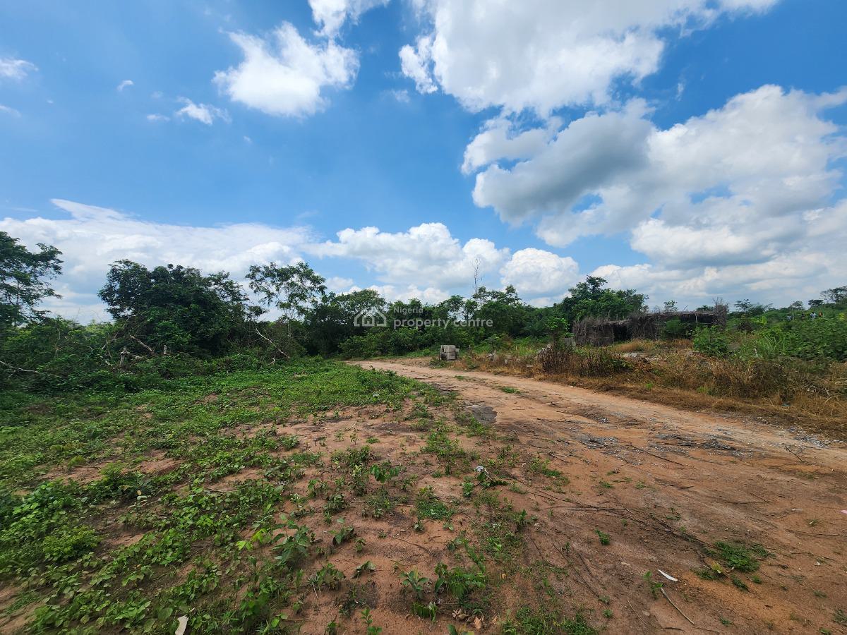 Own 100% Fertile Farmland, Ideal for Oil Palm Farming, Off Funaab, Alabata Road, Odeda, Ogun, Mixed-use Land for Sale