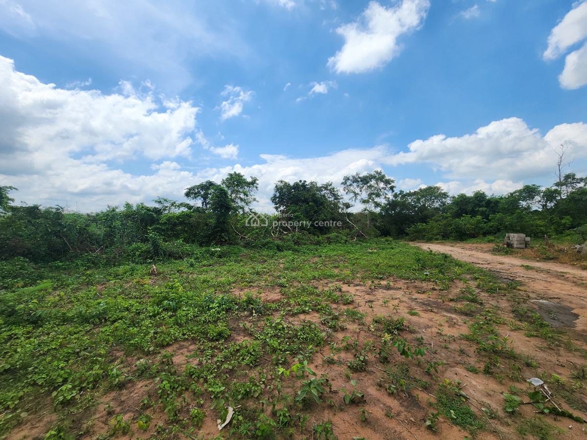 Own 100% Fertile Farmland, Ideal for Oil Palm Farming, Off Funaab, Alabata Road, Odeda, Ogun, Mixed-use Land for Sale