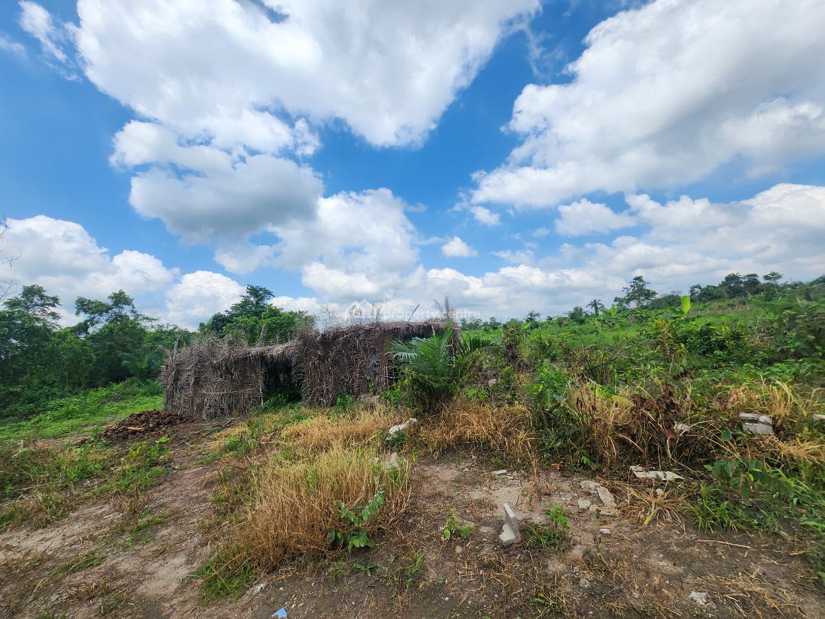 Acres of Farmland with a Promo Offer Suitable for Cocoa Plantation, Off Funaab, Alabata Road, Odeda, Ogun, Mixed-use Land for Sale