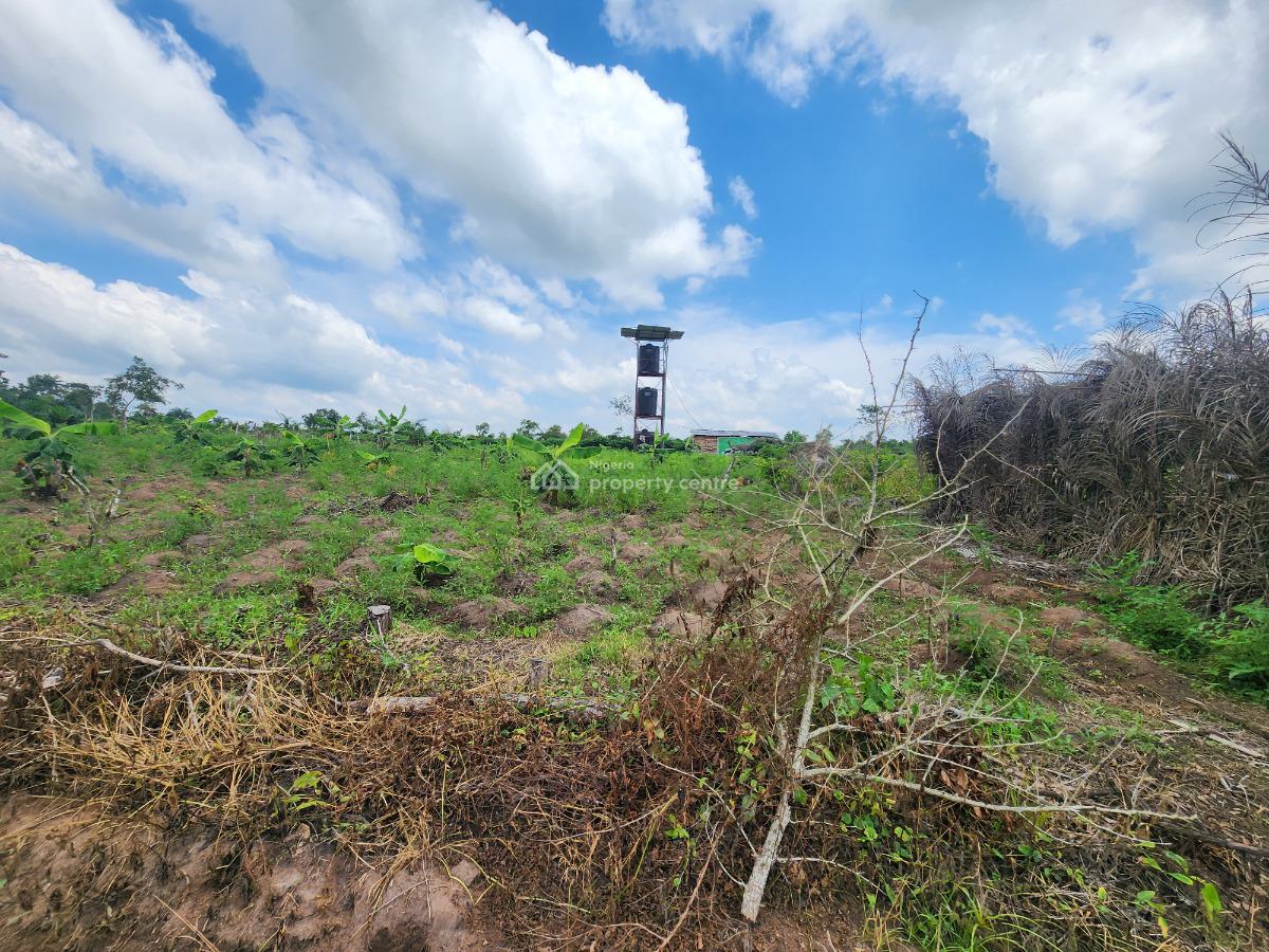 Own Productive Farmland Suitable for Plantain Farming, Off Funaab, Alabata Road, Odeda, Ogun, Mixed-use Land for Sale