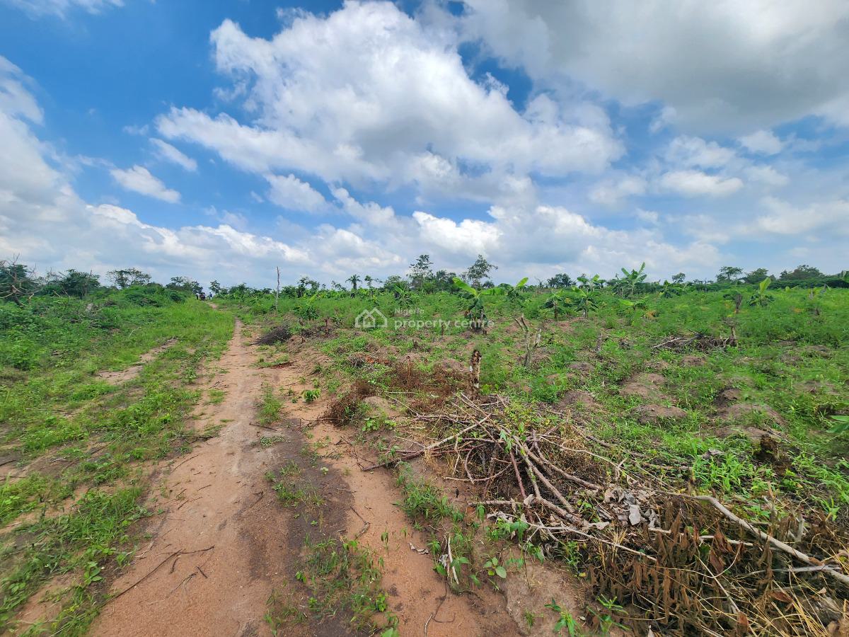 Own Productive Farmland Suitable for Plantain Farming, Off Funaab, Alabata Road, Odeda, Ogun, Mixed-use Land for Sale