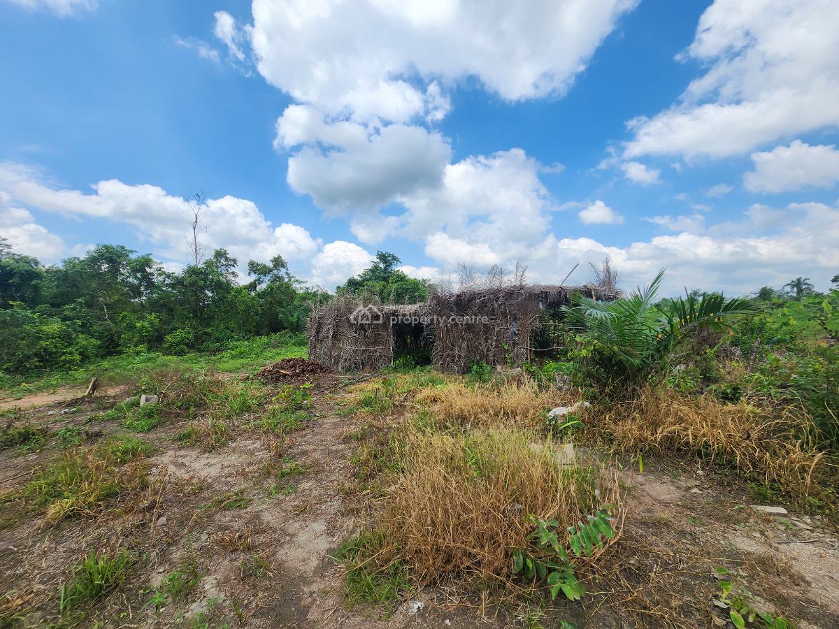Start Earning From Agriculture with Affordable Farmland, Off Funaab, Alabata Road, Odeda, Ogun, Mixed-use Land for Sale