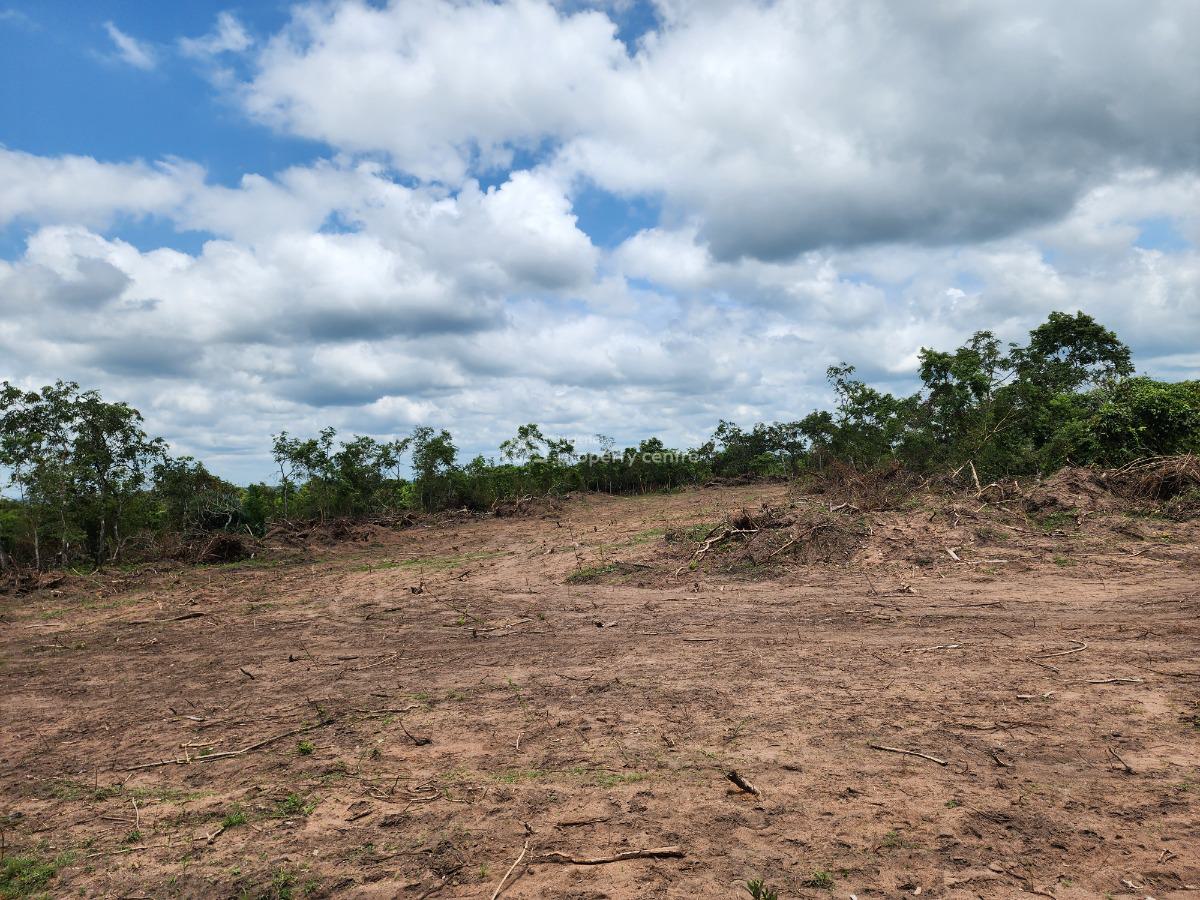 Own 100% Fertile Farmland, Ideal for Cocoa Farming, Off Funaab, Alabata Road, Odeda, Ogun, Mixed-use Land for Sale