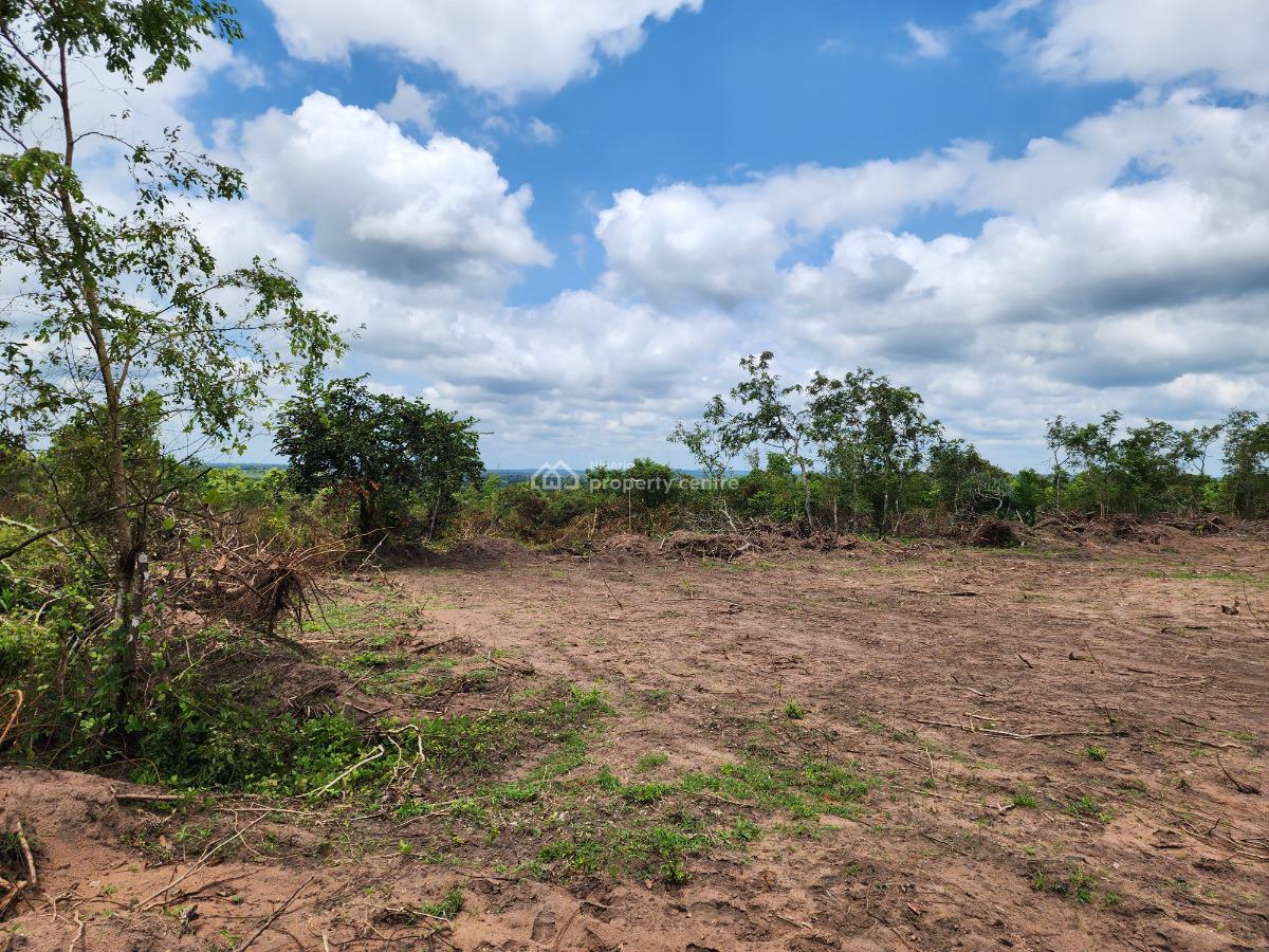 Own 100% Fertile Farmland, Ideal for Cocoa Farming, Off Funaab, Alabata Road, Odeda, Ogun, Mixed-use Land for Sale