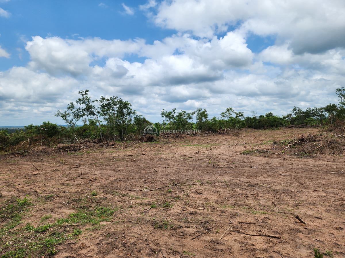 Own 100% Fertile Farmland, Ideal for Cocoa Farming, Off Funaab, Alabata Road, Odeda, Ogun, Mixed-use Land for Sale