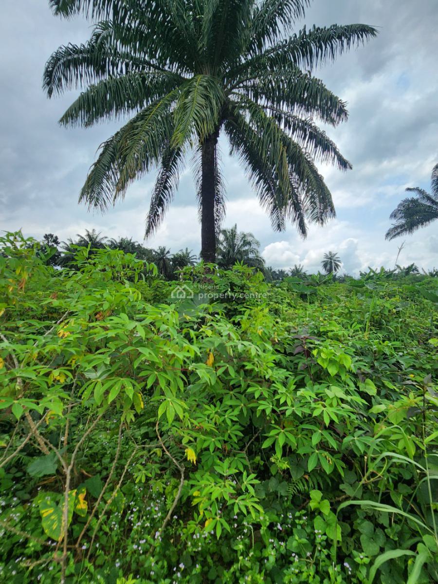 Strategically Located Plot of Land, Shelter Afrique Estate Extension, Uyo, Akwa Ibom, Residential Land for Sale