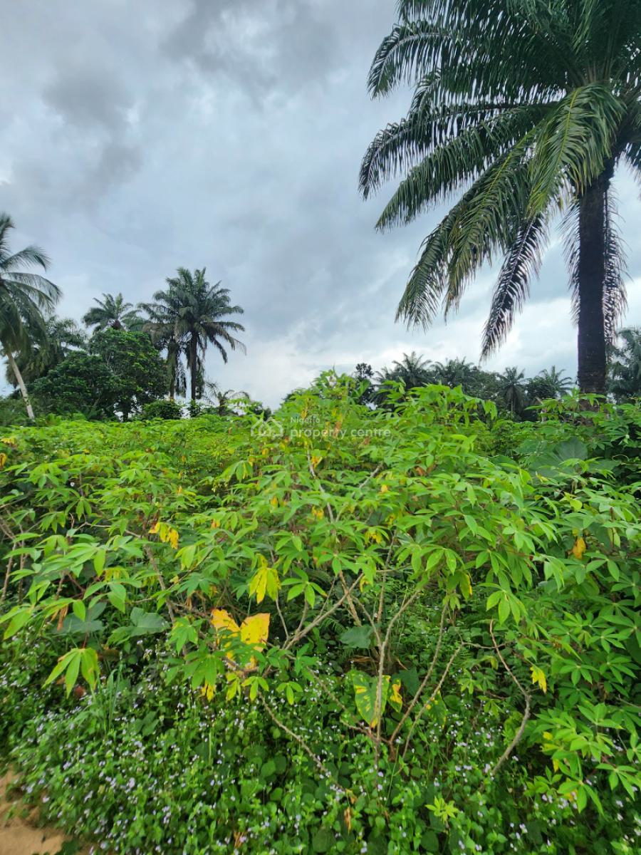 Strategically Located Plot of Land, Shelter Afrique Estate Extension, Uyo, Akwa Ibom, Residential Land for Sale
