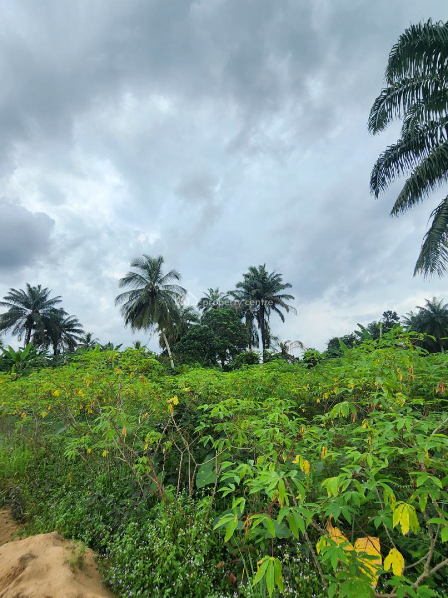 Strategically Located Plot of Land, Shelter Afrique Estate Extension, Uyo, Akwa Ibom, Residential Land for Sale