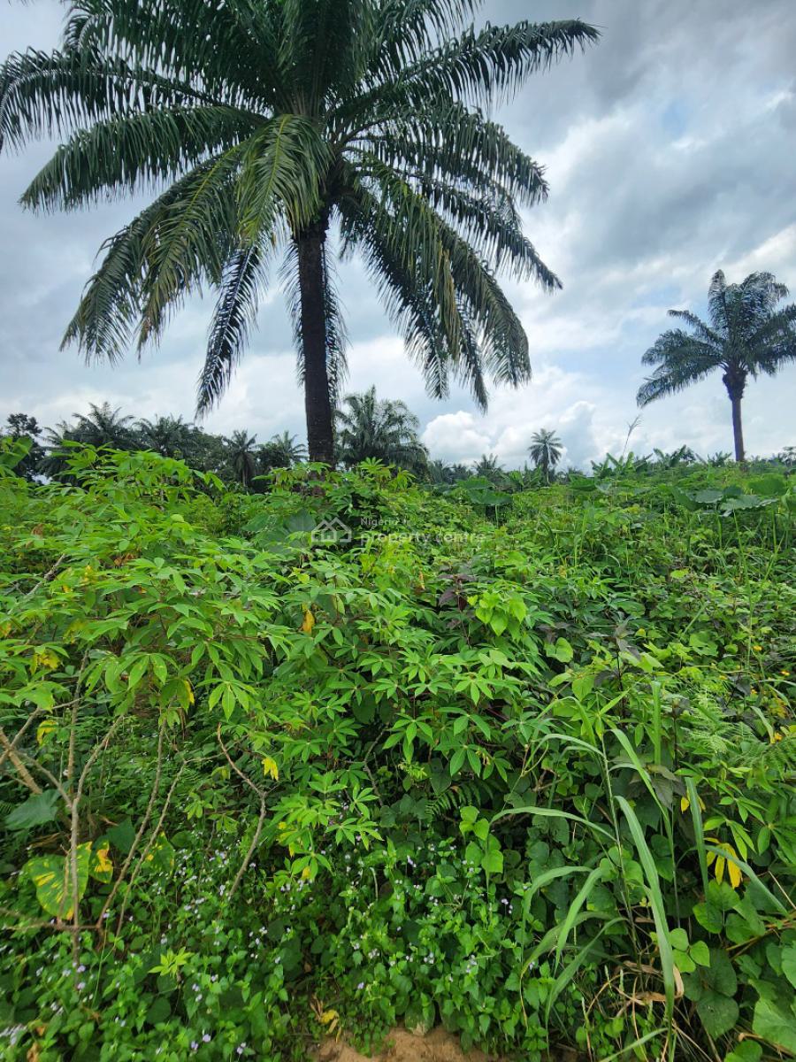 Strategically Located Plot of Land, Shelter Afrique Estate Extension, Uyo, Akwa Ibom, Residential Land for Sale